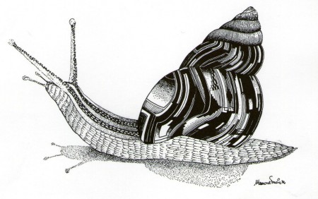 Lumaca - China - 1982 (Collezione Privata)